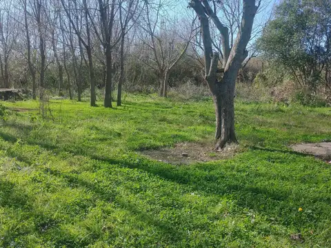 Terreno en Venta de 19000,0 m2