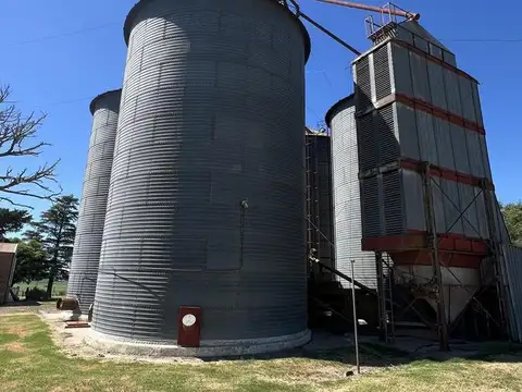 FRACCIÓN DE CAMPO EN VENTA - 1.35 HECTAREAS - ARRECIFES (BUENOS AIRES)