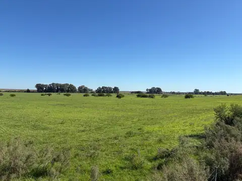 Campo en gualeguaychu