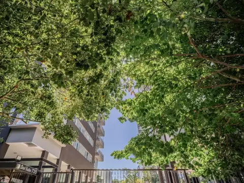 Aristóbulo del Valle 700 , Piso 8