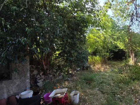 Cardenal Fagnano 2700