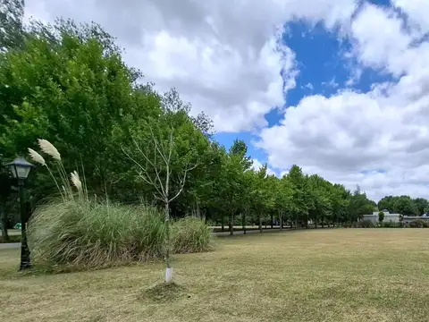 Terreno en Venta 114  mts Fondo