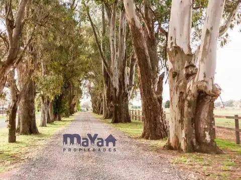 LOTE EN  VENTA BARRIO "EL CAMPO - FINCAS EXCLUSIVAS"