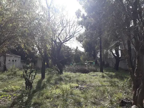 Terreno en Venta de 2000,0 m2