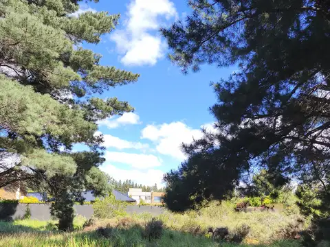 Venta Terreno en Entre Pinos, Bariloche