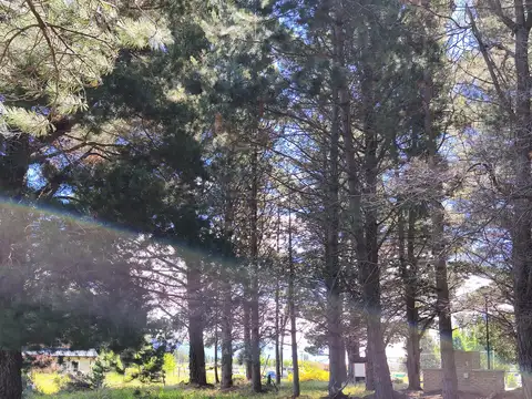 Terreno en Venta en San Carlos De Bariloche, USD 115.000