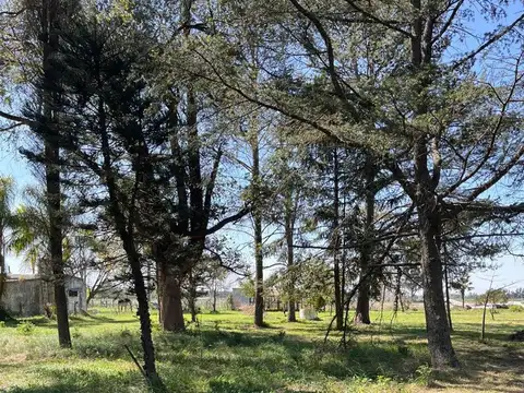 CAMPO AGRICOLA EN VENTA EN BARADERO