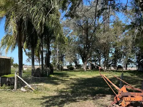 CAMPO AGRICOLA EN VENTA EN BARADERO