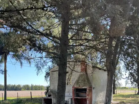 CAMPO AGRICOLA EN VENTA EN BARADERO