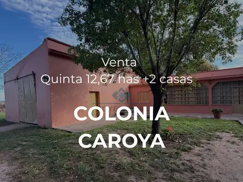 VENTA – 2 CASAS QUINTA- 12,67 HECTÁREAS – COLONIA CAROYA