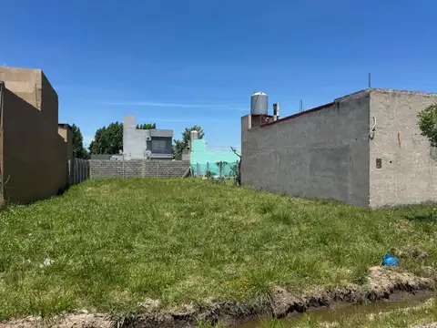 Guadalupe Cuenca-petion Chico