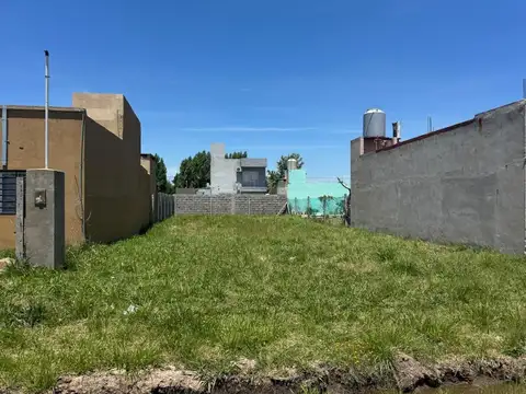 Guadalupe Cuenca-petion Chico