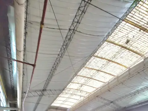 Alquiler galpón 500 m² 