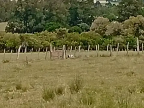 Camino Nacional
