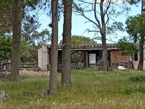 Camino Nacional