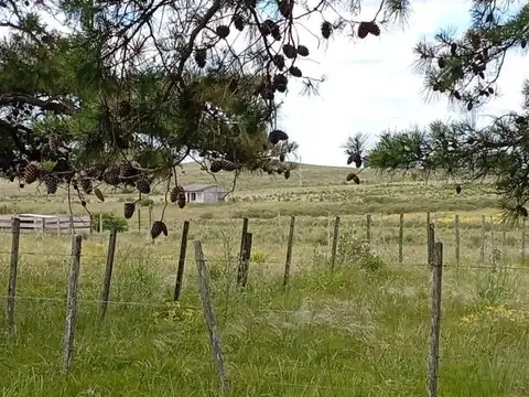 Camino Nacional