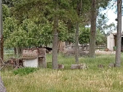 Camino Nacional