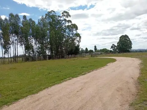 Hermosa chacra en venta en San Carlos, Uruguay