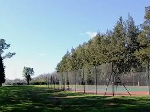 Bella Vista Chico