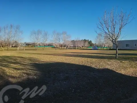 cardales Village 100