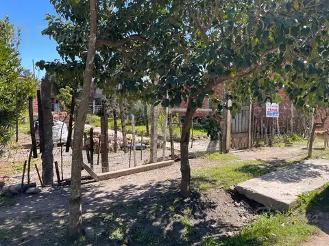 Cadiz 38