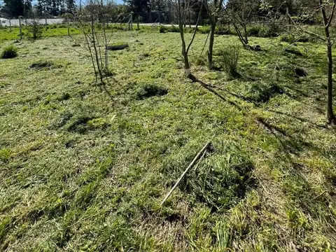 Lote en Venta en San Vicente