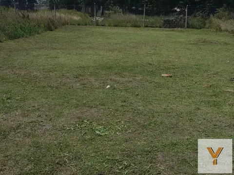 229 e/ 38 Y 44
