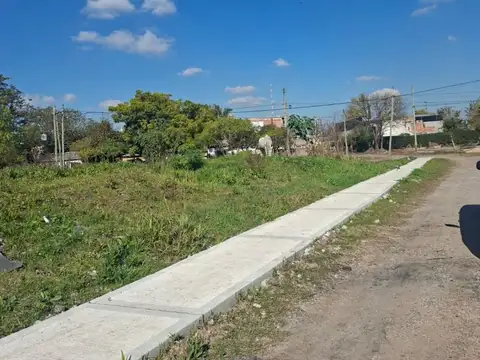 CONSTITUCION 100