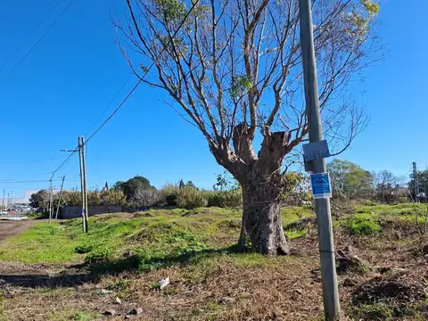 Terreno - Venta - Argentina, BURZACO