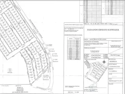 Terreno en Venta en Lujan de Cuyo, USD 7.000