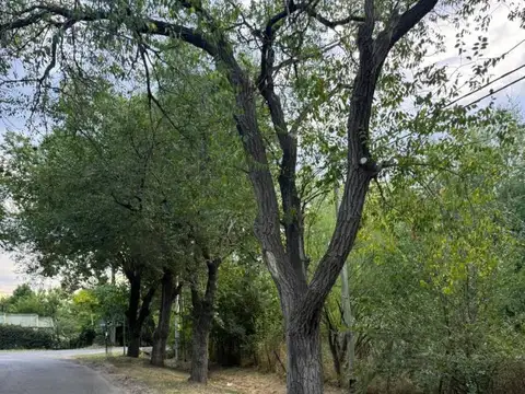 Terreno en Venta en Lisandro Olmos Etcheverry, USD 14.000