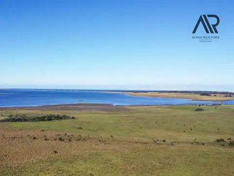 Chacra Laguna de José Ignacio, 26.5 ha/13 ha Maldonado/uruguay.