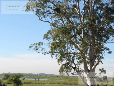 Terreno en Venta de 680,0 m2