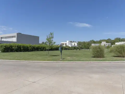 LOTE SAN SEBASTIÁN- N° 164