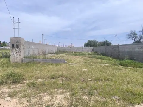 VENTA LOTE ITUZAINGO 250 M2 SOBRE AVENIDA