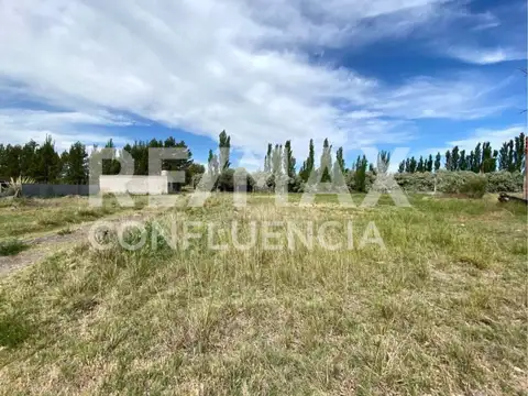 Rodolfo Watschinger y Carlo Vera