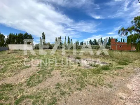 Rodolfo Watschinger y Carlo Vera