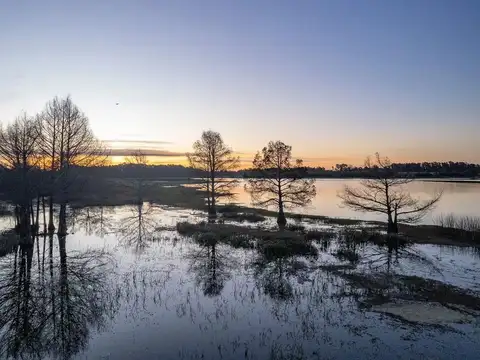 CHACRA EN VENTA - 3 HECTÁREAS - LAGUNA DEL CISNE