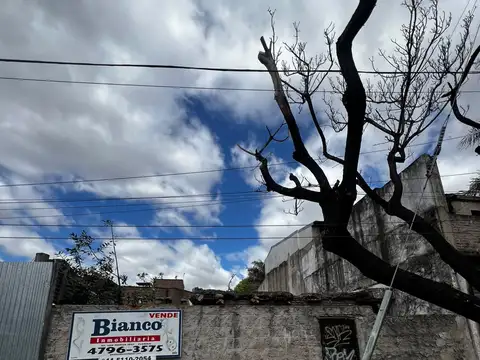 lote 300 m R 2 50 M DE COLECTORA
