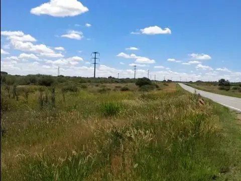 Venta campo 119 hect. Nogoli San Luis Ruta 146, intersección. Camino Los Manantiales