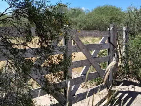 Venta campo 119 hectáreas San Luis