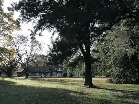 Terreno en Venta 21  mts Frente