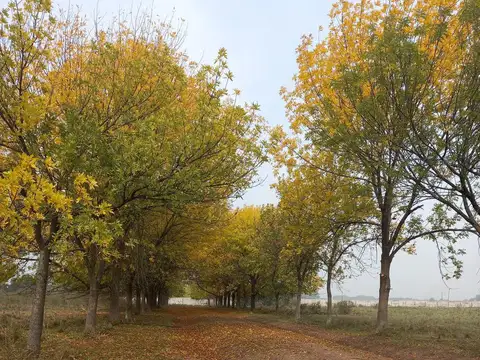 Terreno en Venta en Del Viso, USD 53.227