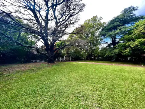 Ricardo Gutiérrez 700