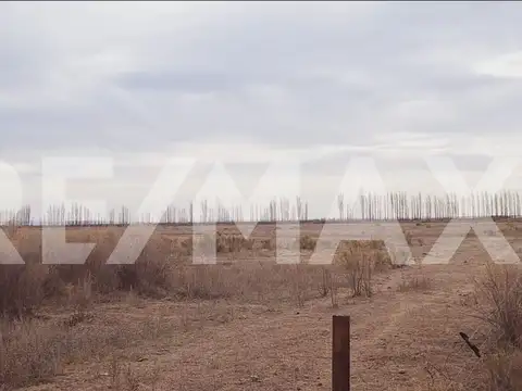 Venta 40 Hectáreas, Catriel, Rio Negro