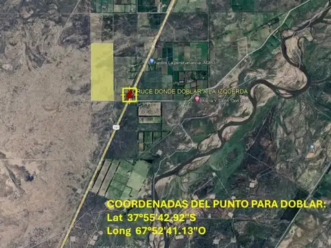 Venta 40 Hectáreas, Catriel, Rio Negro