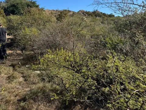 CAMPO DE 17 HAS CON ARROYO NONO VENDE