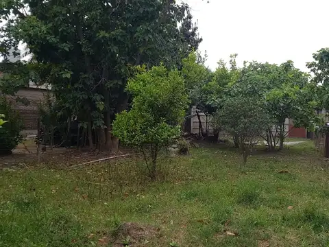 M R Candioti y Juan XXIII 100