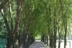 Áreas comunes piscina en Valle Claro en Alvear  801 en Tigre, Buenos Aires