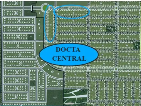 Ruta 20 100